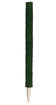 Bâtonnet de noix de coco vert | Ø 55-60 mm - 60 cm | Paon