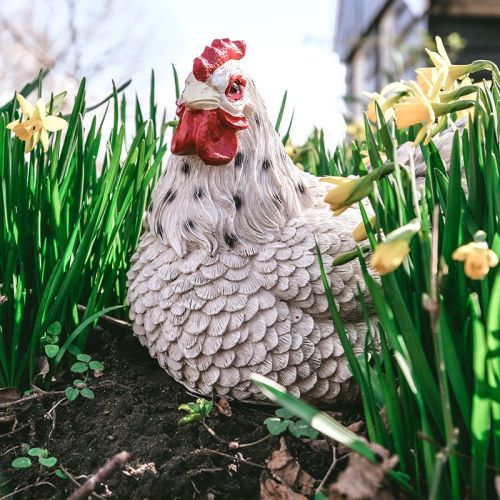 Décoration de jardin : Poule couvant | blanche | 24 x 18 x 20 cm