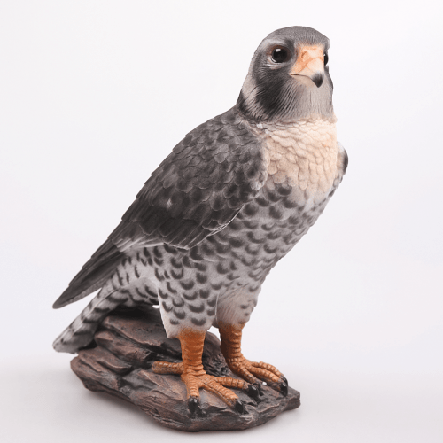 Oiseau de proie | 26 cm
