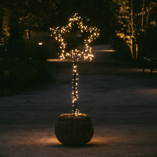 Tuteur de jardin unique pour poinsettia | 120 cm
