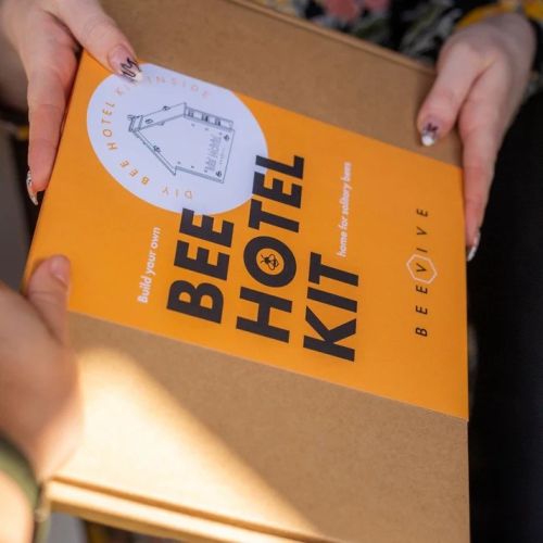 BEEVIVE | Bienenhotel-Bastelset | FSC-zertifiziertem Karton