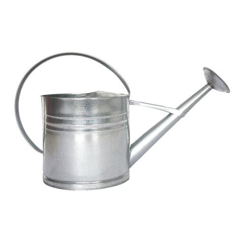 Esschert Design | Arrosoir | Zinc | 10 L