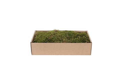 Mon Village | Mousse plate vert-brun | 500 g
