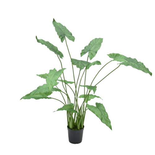 SILK-KA | Kunstpflanze Alocasia im Topf | Grün | 109 cm