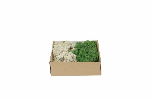 My Village | Mélange de mousse de renne vert foncé naturel | 250 g