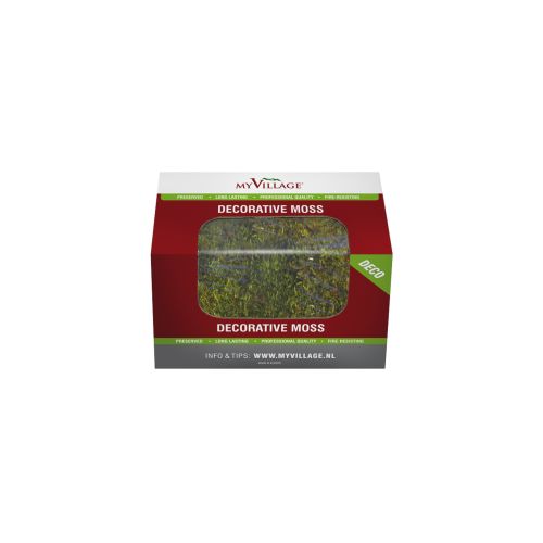 Mon Village | Vert mousse plat | 50 g