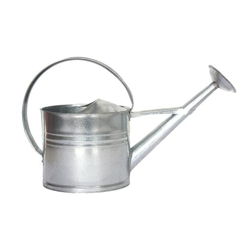 Esschert Design | Arrosoir | Zinc | 8 L