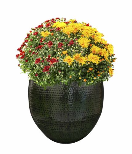 Pot Thom Forest | S | Ø 30 x H 27 cm |