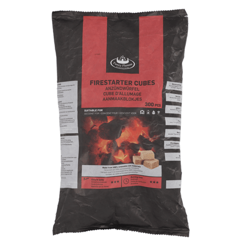 Esschert Design | Briquets pour barbecue | 300 pièces