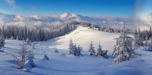 My Village | Hintergrundtuch Winterwald XL | 300 × 150 cm