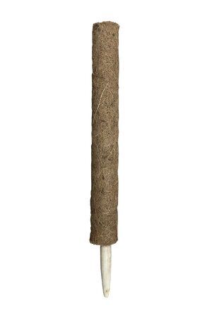 Bâtonnet en noix de coco naturelle | Ø 55-60 mm - 60 cm | Paon