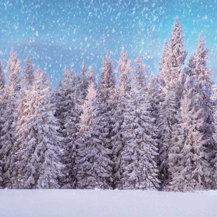 Winterlandschaft auf Hintergrund rosa