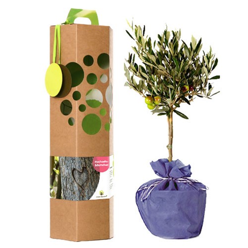 Personalisieter Geschenkbaum